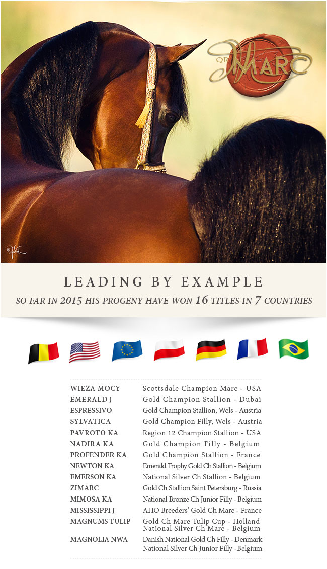 QR Marc Newsletter