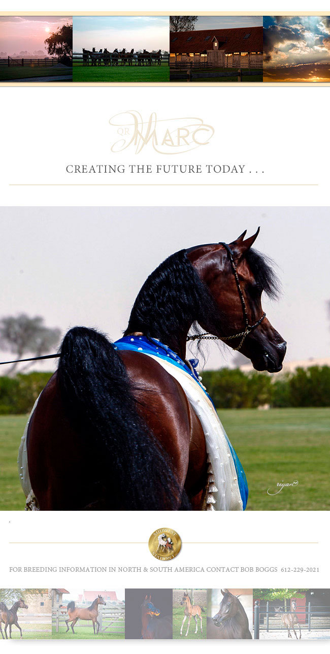 QR Marc Newsletter