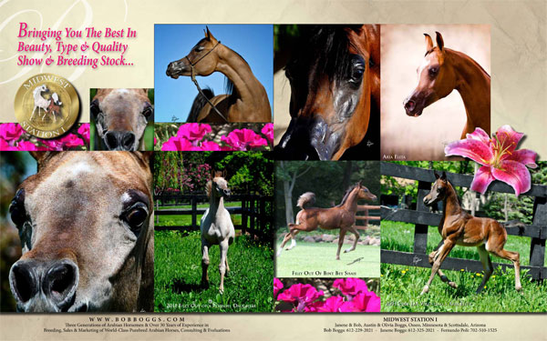 Breeders